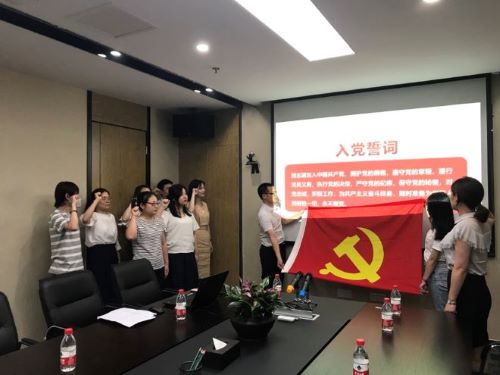 公司第一黨支部、第二黨支部分別召開黨員大會(huì)暨“不忘初心，牢記使命”主題教育專題黨員活動(dòng)日